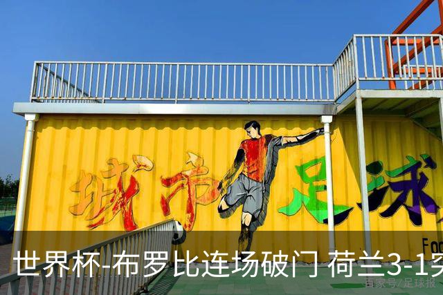 世界杯-布罗比连场破门 荷兰3-1突尼斯获小组头名将战摩洛哥