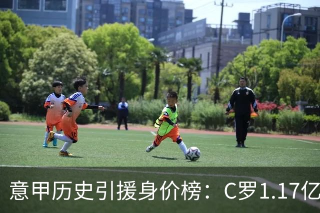 意甲历史引援身价榜：C罗1.17亿欧唯一过亿，伊瓜因9000万欧次席